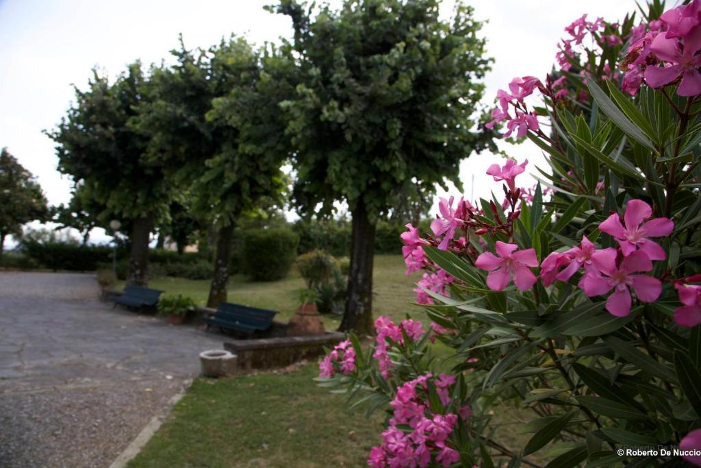 Tenuta Gaetano Spadaro Capannori Zewnętrze zdjęcie
