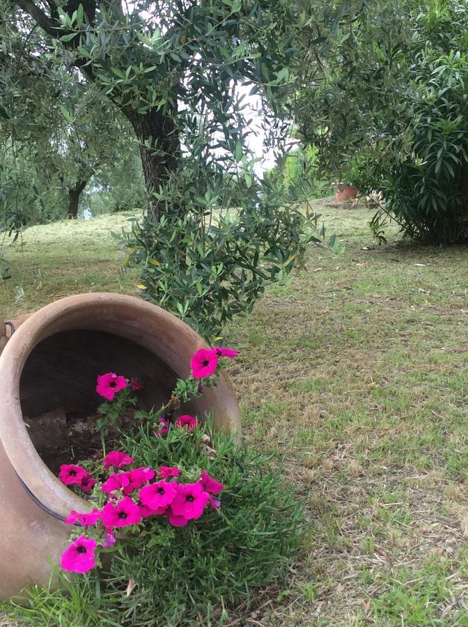 Tenuta Gaetano Spadaro Capannori Zewnętrze zdjęcie